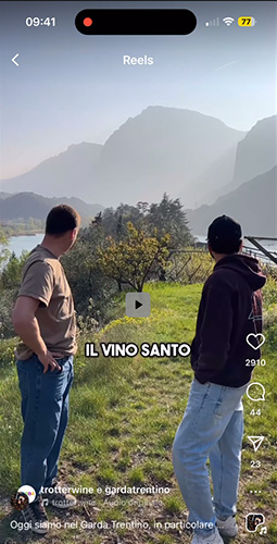trotterwine